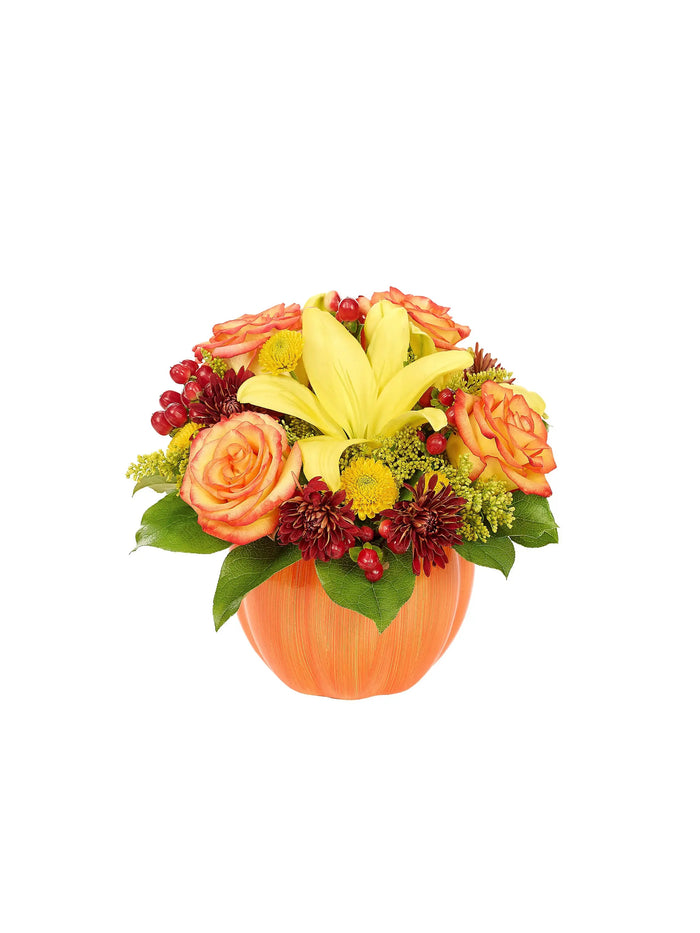 Harvest Pumpkin Celebration bloomexusa