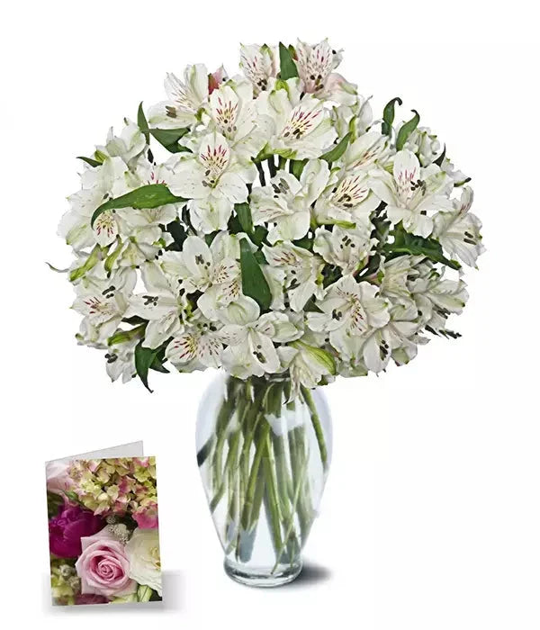 50 Blooms of Easter Alstroemeria I bloomexusa