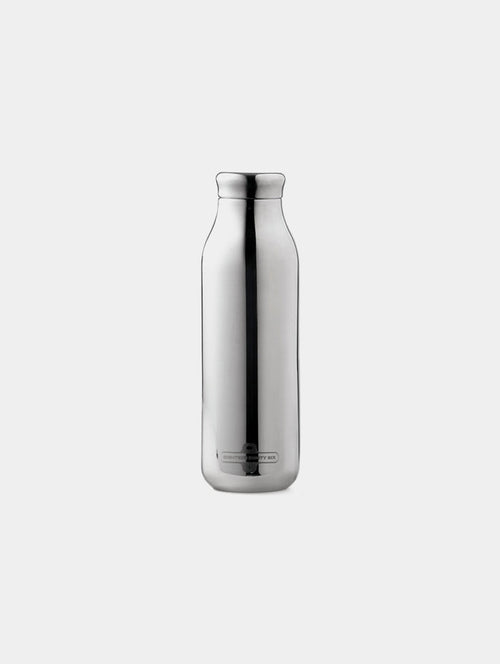 ALL DAY BOTTLE SILVER