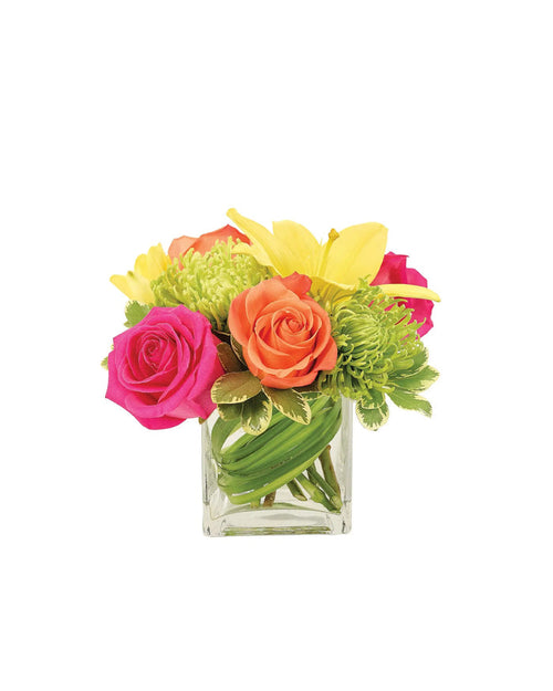 Bold and Beautiful Cube bloomexusa