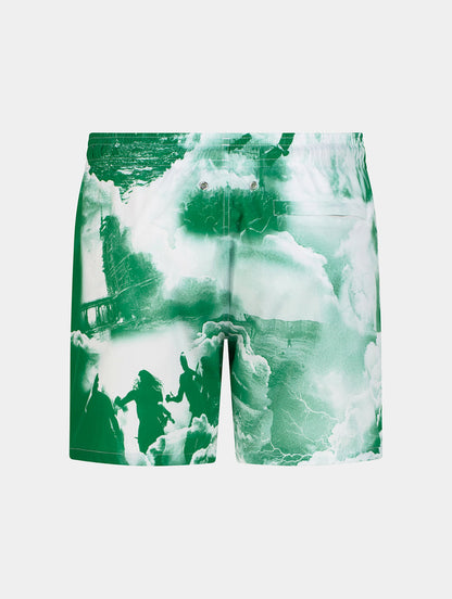 DREAMSCAPE SWIM SHORTS