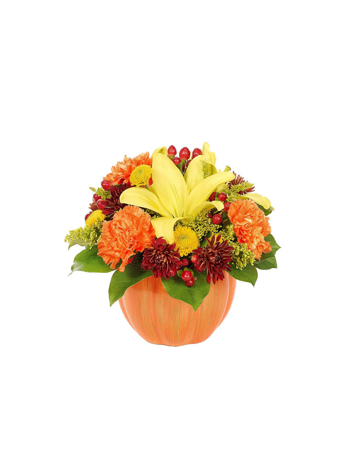 Harvest Pumpkin Celebration bloomexusa