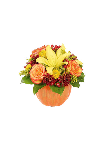Harvest Pumpkin Celebration bloomexusa