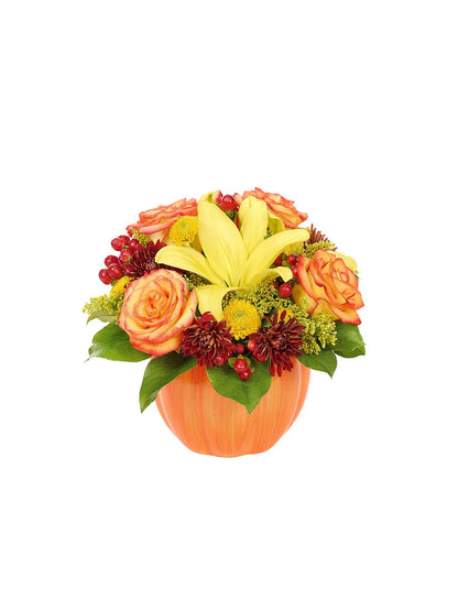 Harvest Pumpkin Celebration bloomexusa