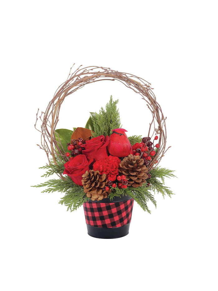 Merry Cardinal Christmas bloomexusa