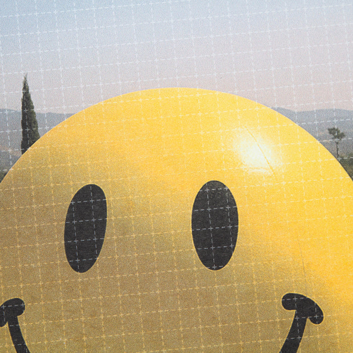 Smiley Poolside Trip - Art Print