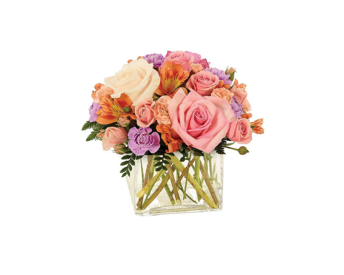 Sorbet Blossoms Cube bloomexusa