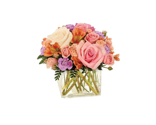 Sorbet Blossoms Cube bloomexusa