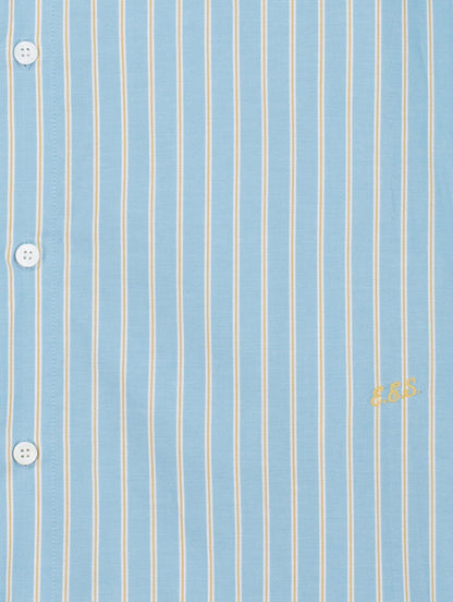 The Blue Stripe Shirt