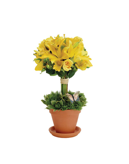 TOPIARY GREETINGS bloomexusa